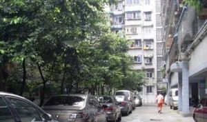 玉林苑二期 3室1厅 南