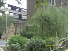 御景龙庭 1室1厅 东南