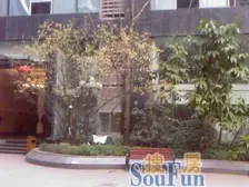 端头户型大两房,天街旁边方便得很