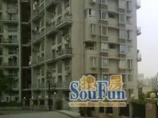 大坪 康德27°生活空间一房63万