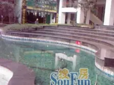 大坪 康德27°生活空间一房66万