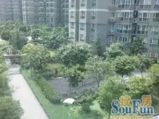 北滨路 华丽家族四房145万