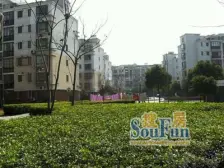 鑫唐佳苑·空中复试,三开间朝南,阁楼精装修,带露台,诚意出售