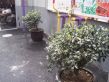 塔城东路492弄小区实景图