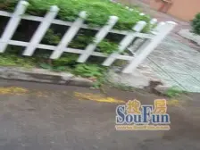 西村小区 满五税少 业主诚售 视野开阔采光好