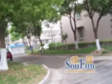 门店聚焦 店长推荐 电梯房 改善型住房 自住精装修