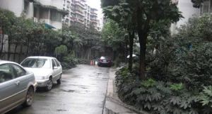 绿杨邨5室2厅东南