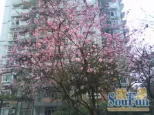 业主诚心卖 房屋住家精装修 可领包入住 价格可议