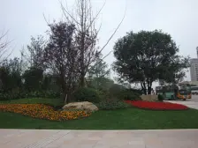 经开区 雅居乐国际花园三房