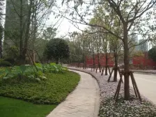 雅居乐国际花园一期大平层 纯板式结构双阳台 精装自住