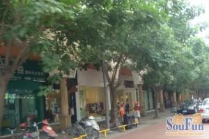 中华园中苑4室2厅南北