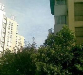 大院人家3室2厅东南