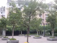 雨台花园 3室2厅 东南