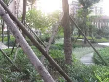 跃进村 缤纷时代三房75万