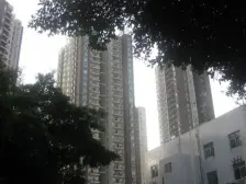 观音桥 青青雅舍一房64万