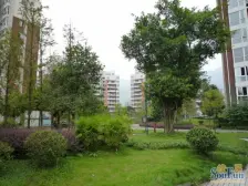 城南轻轨站旁电梯房三房 业主急售