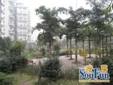 红雨花园 4室2厅 南