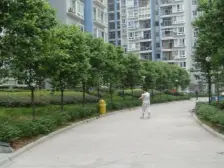 大露台 轻轨环线楼上 宽敞3房 成熟商圈 居家便利