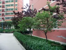 耿家庄东方红广场路桥音乐广场电梯复式