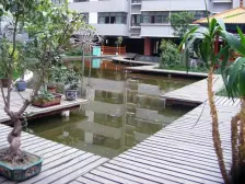 广场电梯房,小区有绿化,配套成熟,出行便利