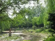 新上房源,13号线丰庄站400米,板式3房中楼层。