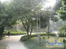 捡趴活!滩子口精装洋房三房 178 平 103 颗