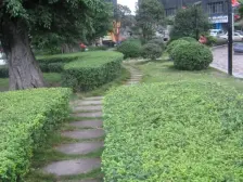 正规两房双卫,户型方正,采光通透