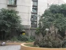 石坪桥 造漆村二房24万