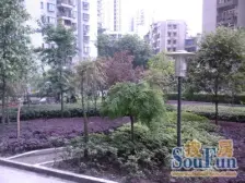 动物园轻轨旁,一楼可以当小卖铺和麻将馆