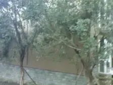 人和春天(渝北) 2室2厅 东