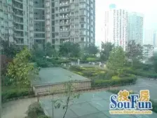 莲花国际 1室1厅 南