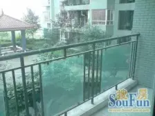 莲花国际 1室1厅 南