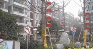 上林宽境4室1厅南