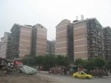 桂花园 3室0厅 东北