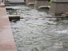 加州新牌坊 伟清泊客一房70万