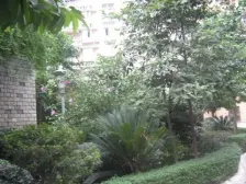 高新区 恒鑫名城一期二房50万