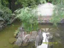 双公园 轻轨站旁,正规精装修的一室 安静 适合居住