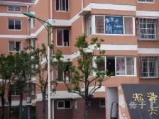 淞泽家园(八区) 3室1厅 南