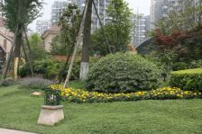 蓝光圣菲TOWN城2室1厅东南