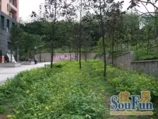 地铁站旁 清水房 户型方正 带阳台