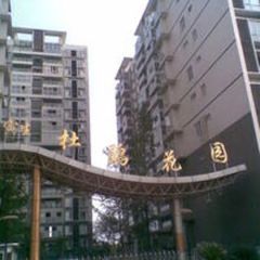 杜鹃花园3室1厅东