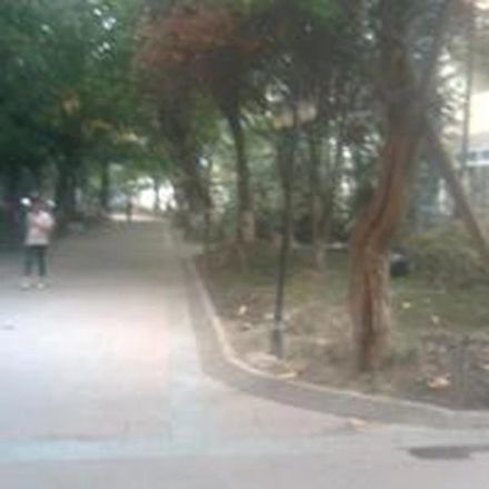 百花森苑实景图