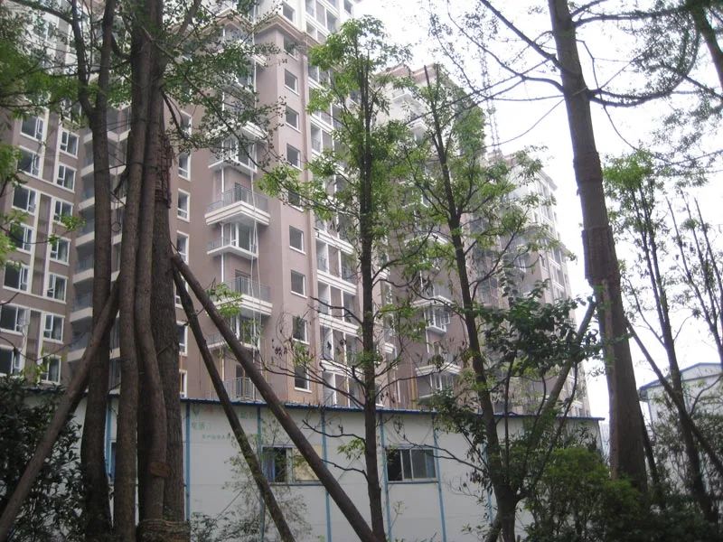 小区相关图