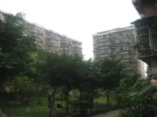 枇杷山正街 2室1厅 东