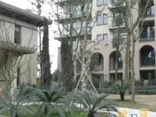 庆隆纯别墅联排社区+南山脚下高尔夫+端户私家车库