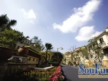 茶园庆隆 3+1联排大端户入户花园可停4车位单层大