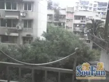 劳动三村 2室1厅 东南