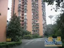 渝中大坪总部城旁 正规一室 配套齐全 交通便利