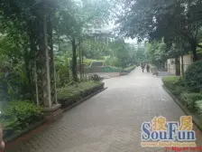 大坪 竞地花园三房175万