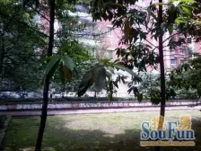 大坪商圈 出行方便,住家安静,配套齐全,诚心出售。